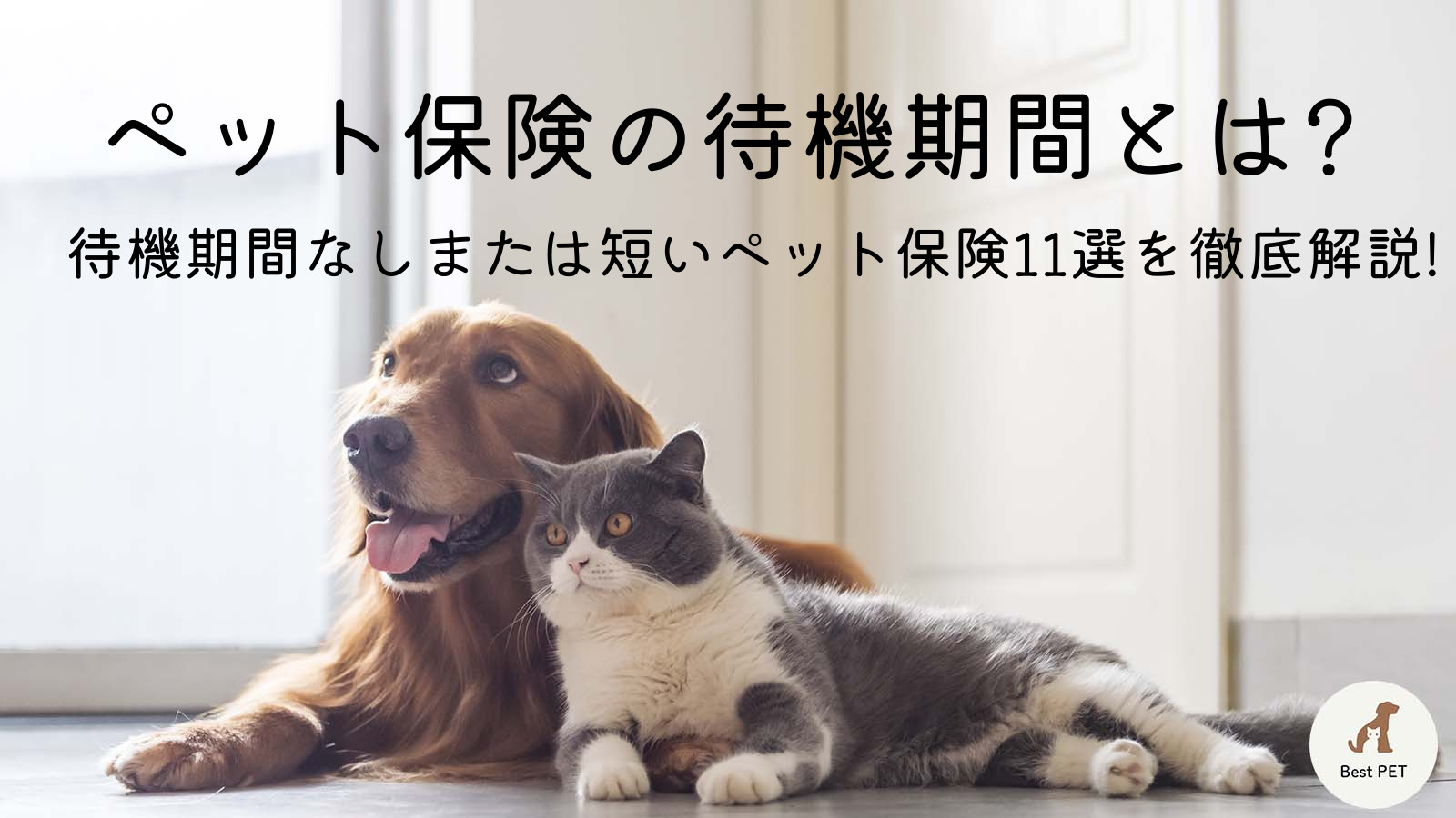 pet-insurance-waiting-period